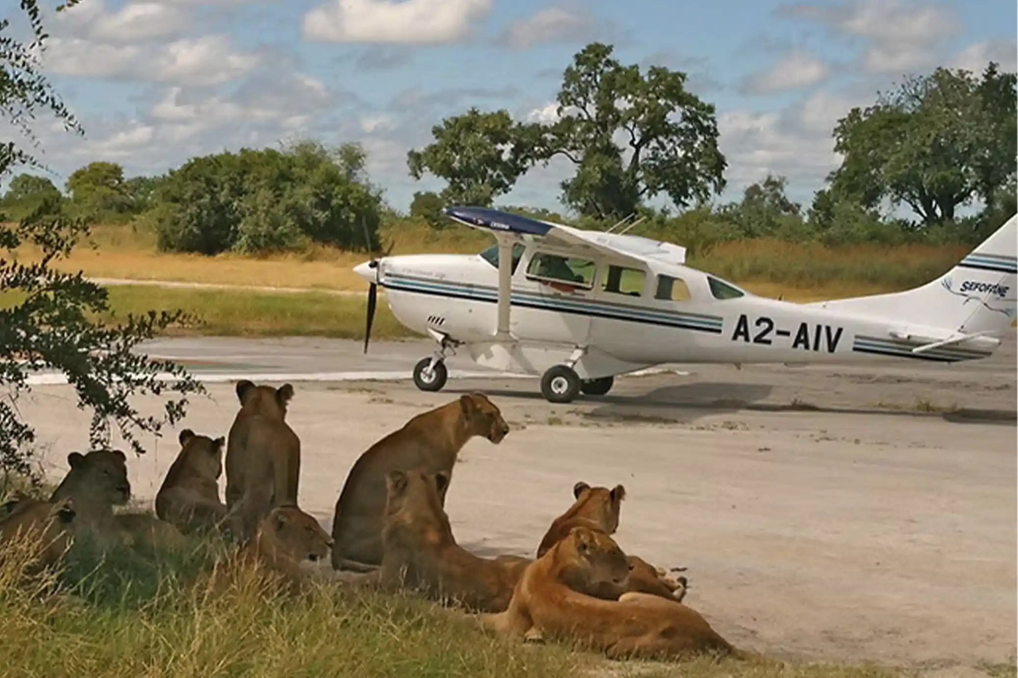3-Day Fly in Serengeti Luxury Safari