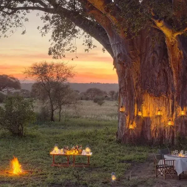 7 Nights / 8 Days Tarangire National National Park, Serengeti National Park, Ngorongoro Conservation Area