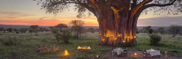 7 Nights / 8 Days Tarangire National National Park, Serengeti National Park, Ngorongoro Conservation Area