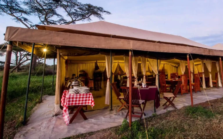 Acacia Migration Camp