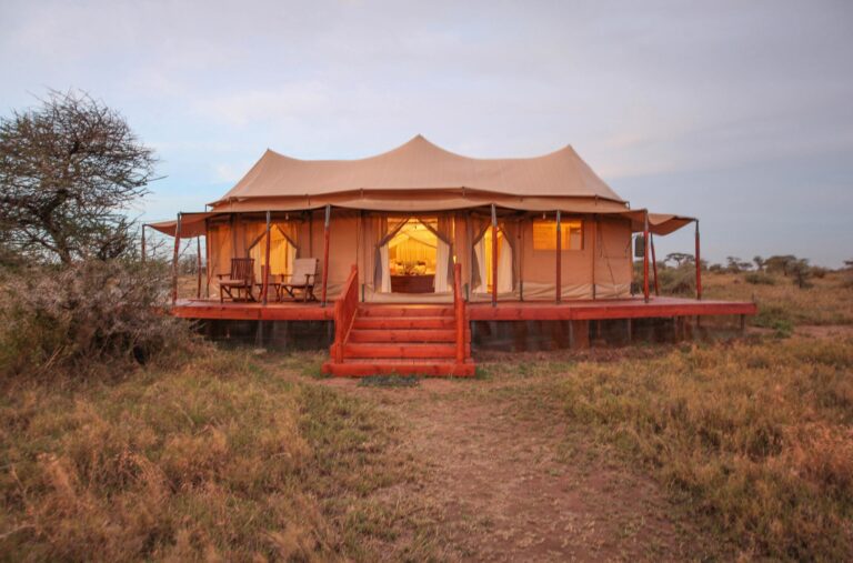 Acacia Seronera Luxury Camp