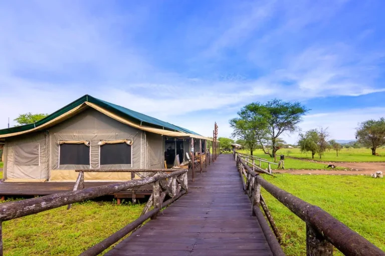 Tanzania Bush Camp