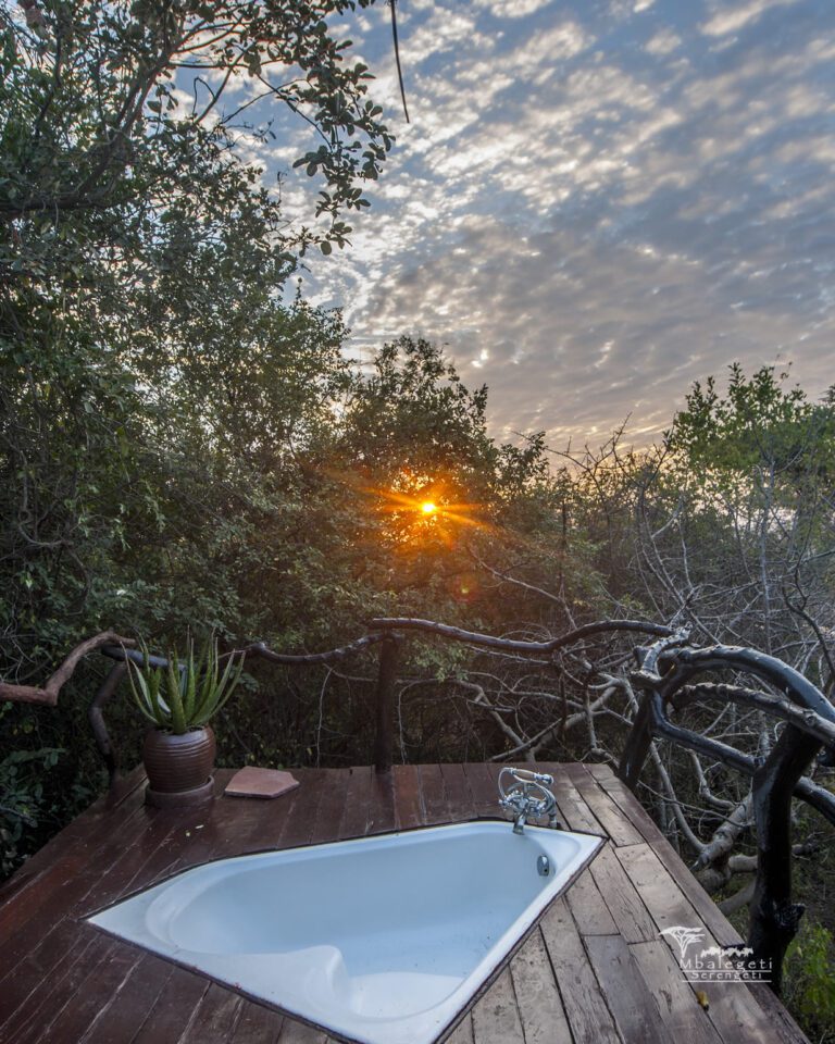 Mbalageti Serengeti Camp