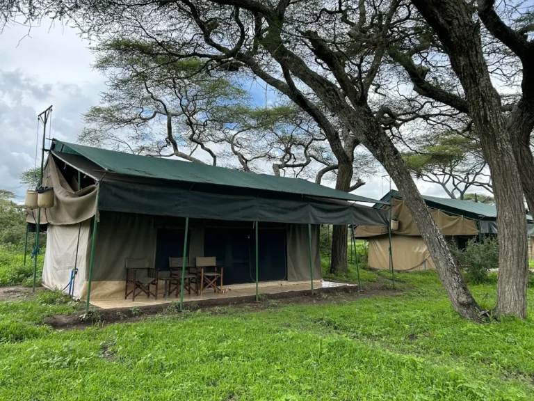 Ang’ata Migration Camp