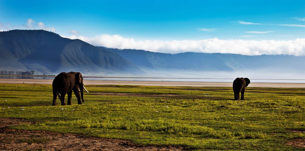 15096 Tanzania safari package hero image