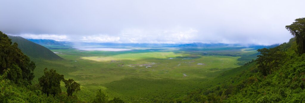 Panoramic view across the green Ngorongoro Crater